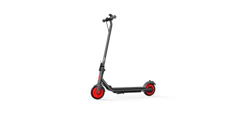 Segway Zing C20