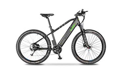 Argento, Performance +, Bicicleta Electrica Montaña