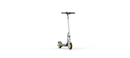 Ninebot by Segway AA.00.0011.61 - Patinete eléctrico Zing C8